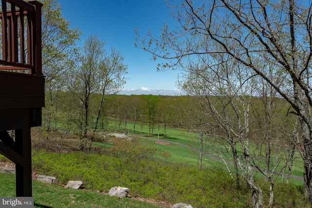 view of yard with a forest view