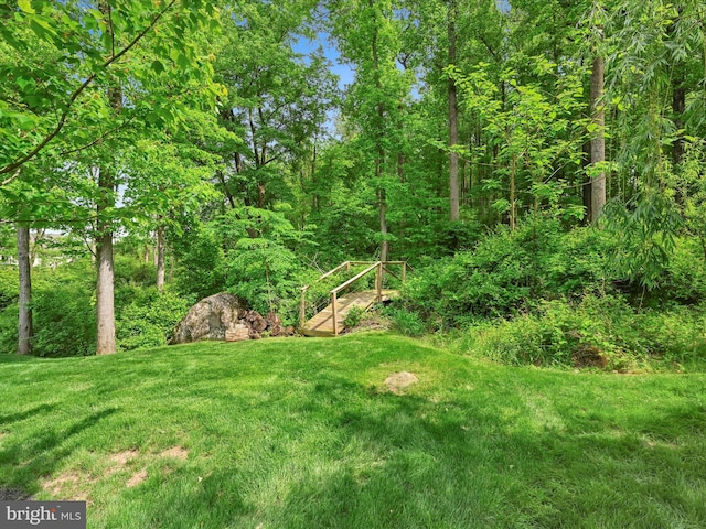 226 Crimson Ln, Elizabethtown, PA 17022 - view of green lawn