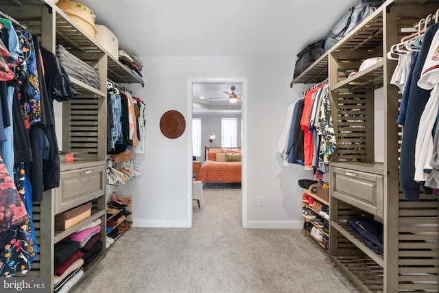 spacious closet with carpet floors and ceiling fan