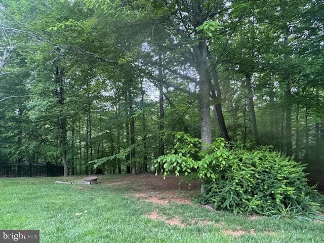 11050 Stonebrook Dr, Manassas, VA 20112 - view of yard featuring a view of trees