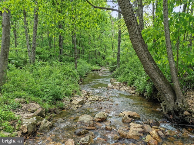 CORNEROFRT259 Hunkerson Gap Rd, Mathias, WV 26812