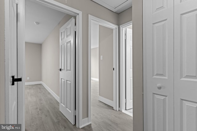 9001 Ridge Ave Unit 14, Philadelphia, PA 19128 - hallway with light wood finished floors and baseboards