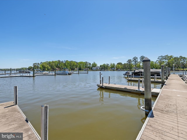 dock area featuring a water view