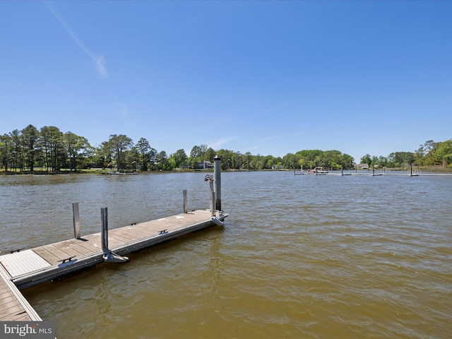 dock featuring a water view