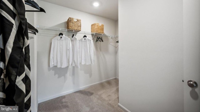 spacious closet with carpet floors