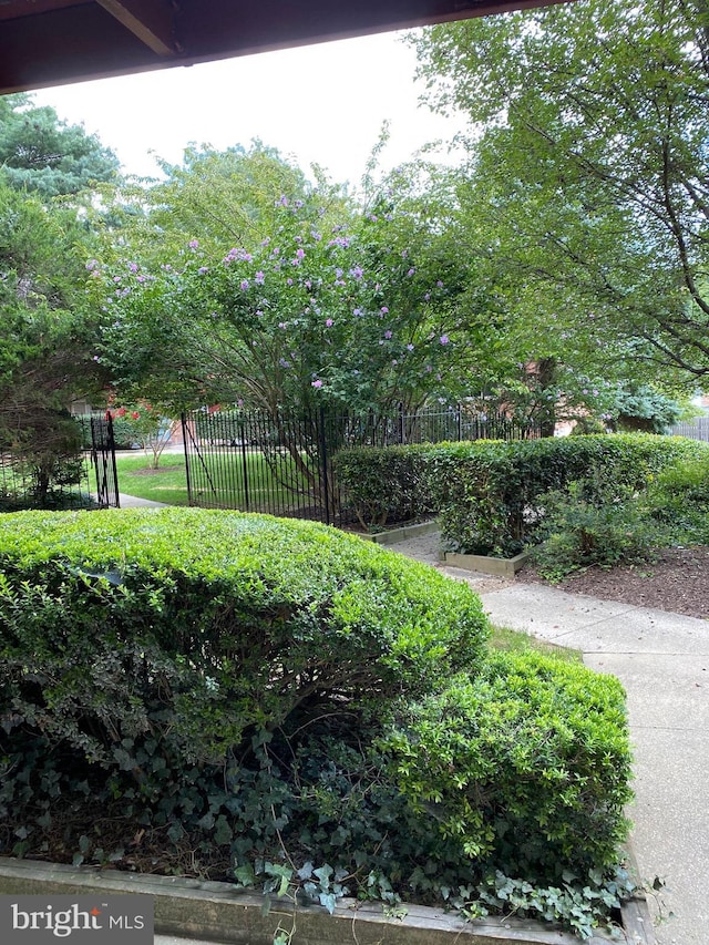 3419 University Blvd W Unit 102, Kensington, MD 20895 - view of yard