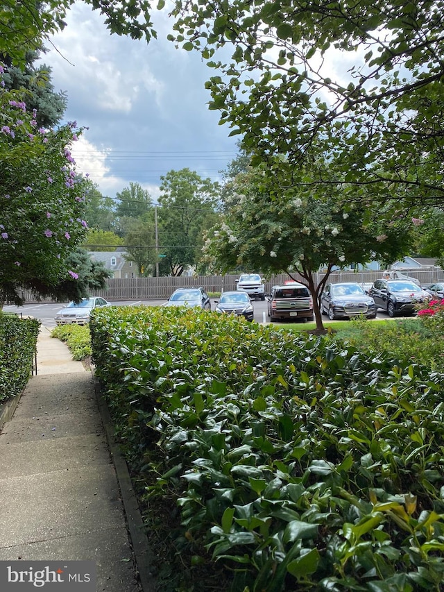 3419 University Blvd W Unit 102, Kensington, MD 20895 - view of yard