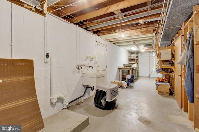 unfinished basement featuring concrete block wall