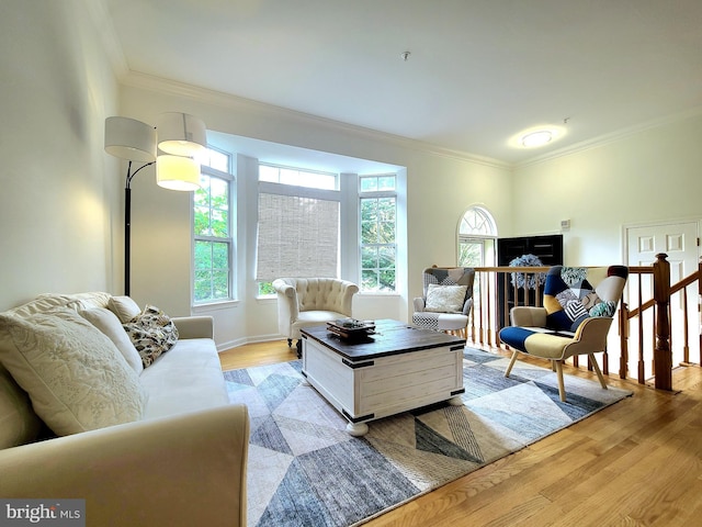 29 Ferns Ct, Lutherville Timonium, MD 21093 - living area featuring crown molding, light wood-type flooring, and baseboards