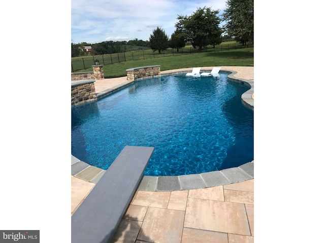8170 Hollow Rd, Middletown, MD 21769 - outdoor pool featuring a diving board