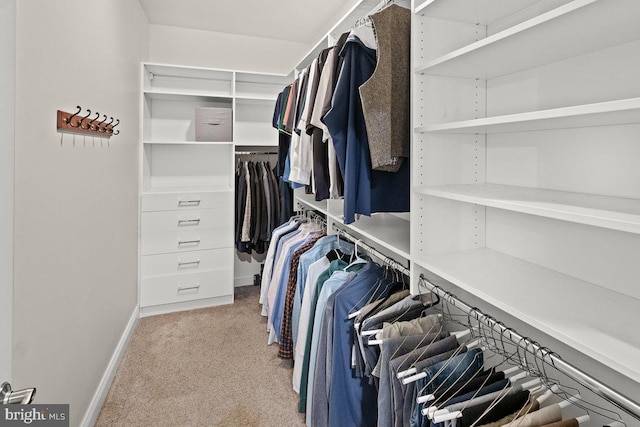 8170 Hollow Rd, Middletown, MD 21769 - walk in closet featuring carpet flooring
