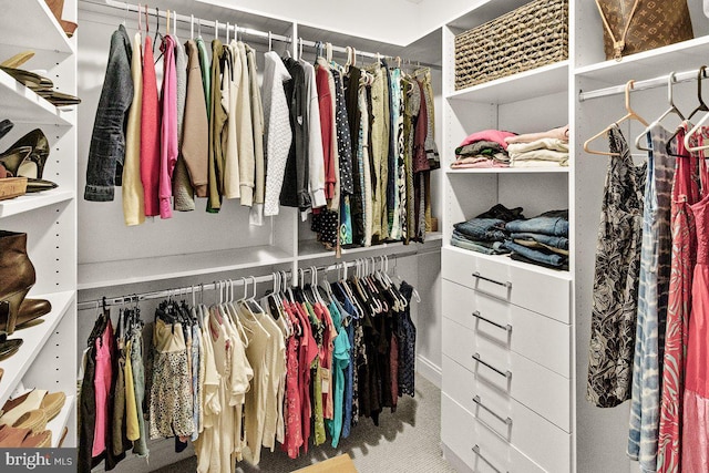 8170 Hollow Rd, Middletown, MD 21769 - view of spacious closet