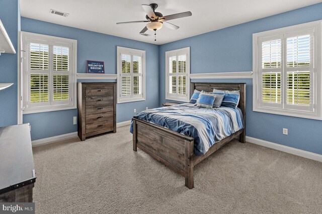 8170 Hollow Rd, Middletown, MD 21769 - carpeted bedroom featuring multiple windows, baseboards, and a ceiling fan