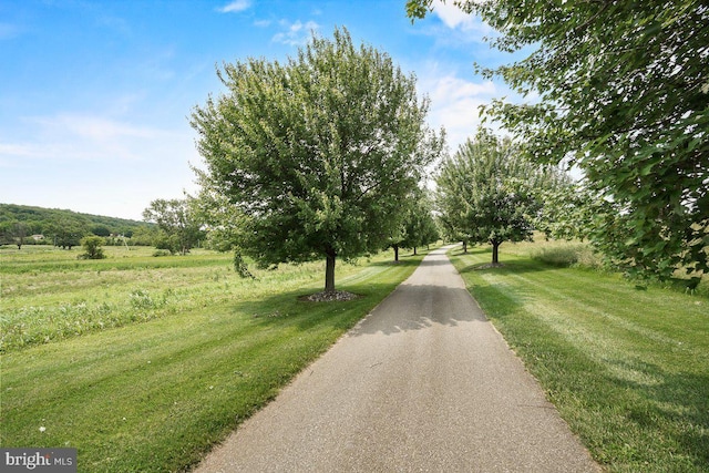 8170 Hollow Rd, Middletown, MD 21769 - view of street
