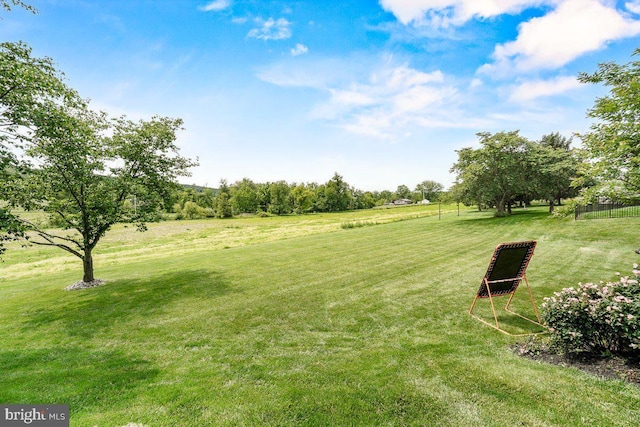 8170 Hollow Rd, Middletown, MD 21769 - view of green lawn