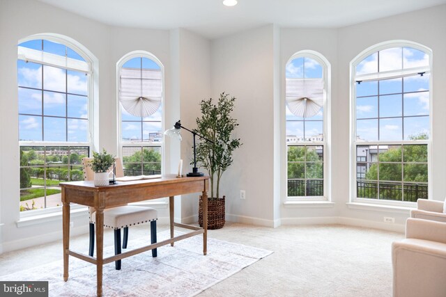 501 Triggerfish Dr, Oxon Hill, MD 20745 - carpeted office space featuring baseboards and recessed lighting