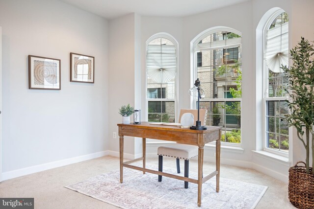 501 Triggerfish Dr, Oxon Hill, MD 20745 - carpeted office with baseboards