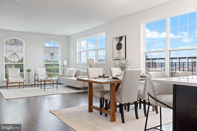 501 Triggerfish Dr, Oxon Hill, MD 20745 - dining space featuring wood-type flooring