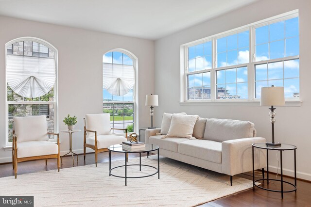 501 Triggerfish Dr, Oxon Hill, MD 20745 - living room with plenty of natural light, wood finished floors, and baseboards