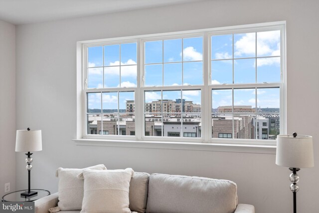 501 Triggerfish Dr, Oxon Hill, MD 20745 - living area with plenty of natural light and a city view