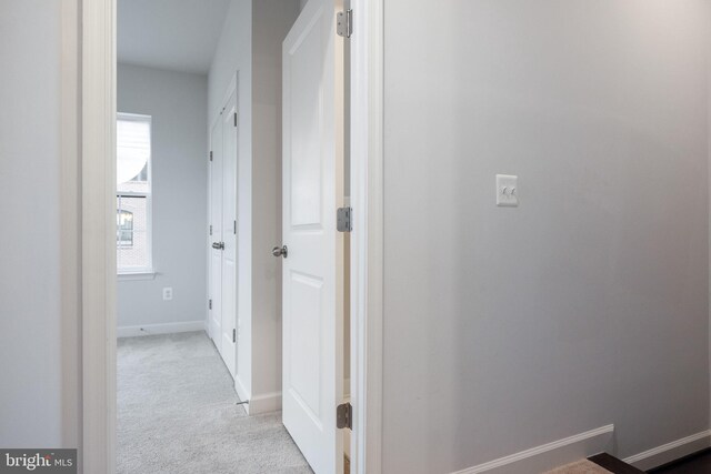 501 Triggerfish Dr, Oxon Hill, MD 20745 - corridor with carpet flooring and baseboards