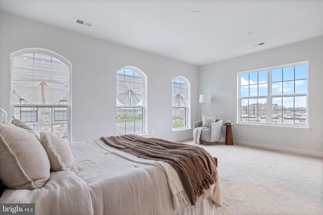 501 Triggerfish Dr, Oxon Hill, MD 20745 - bedroom featuring multiple windows, carpet, and baseboards