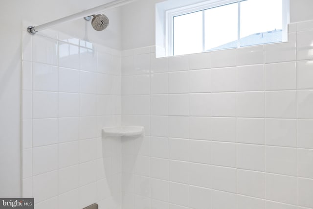 501 Triggerfish Dr, Oxon Hill, MD 20745 - bathroom view of tiled shower