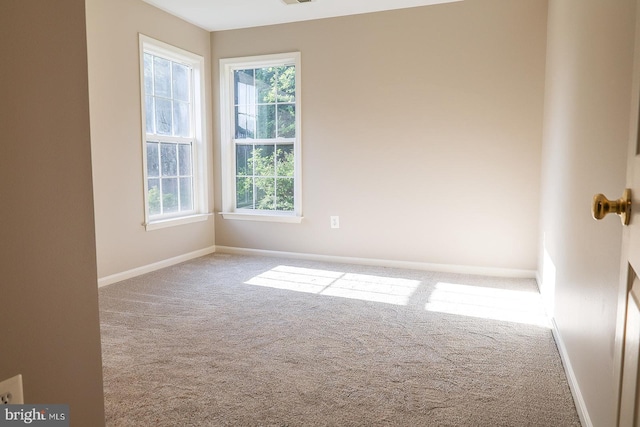 720 Beehive Way, Winchester, VA 22601 - carpeted empty room with plenty of natural light and baseboards