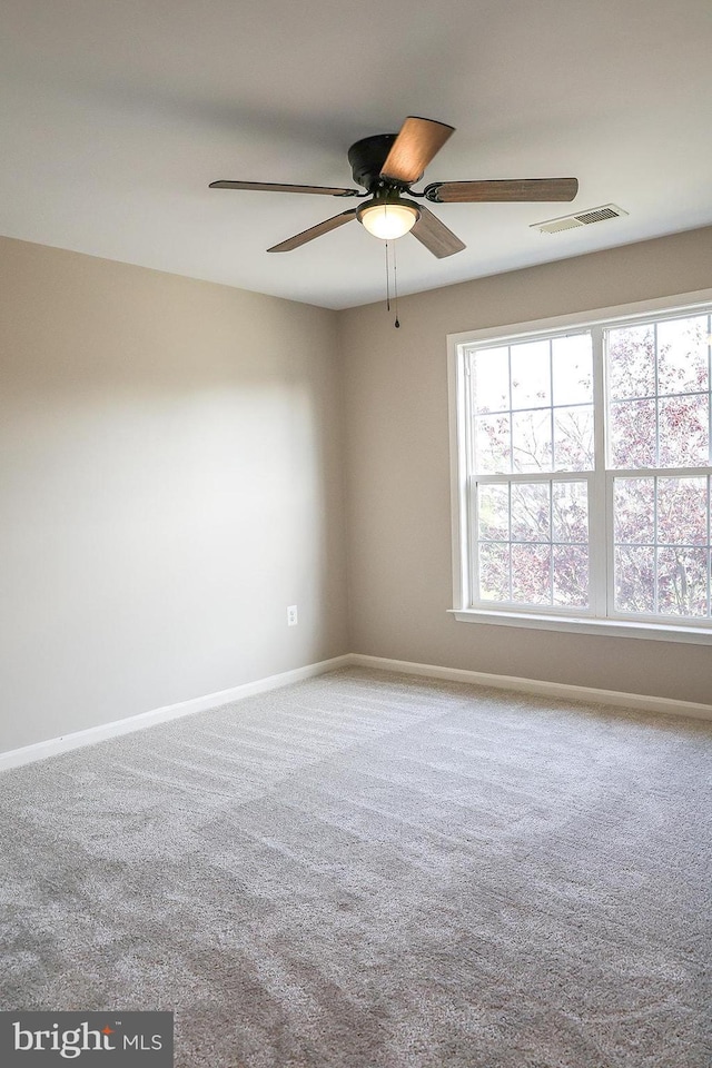 720 Beehive Way, Winchester, VA 22601 - unfurnished room featuring ceiling fan, carpet floors, plenty of natural light, and baseboards