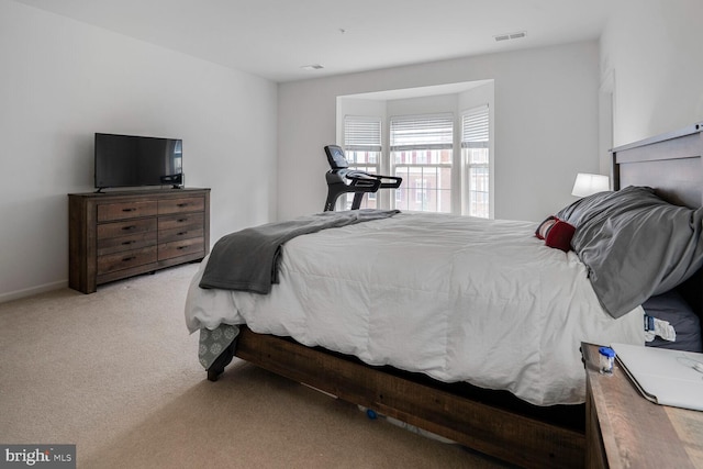 7269 Elkridge Crossing Way, Elkridge, MD 21075 - bedroom with carpet floors