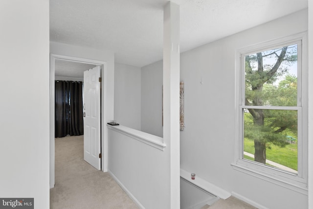 7 Woodland Ct, Hamilton, NJ 08610 - hallway with an upstairs landing, carpet, a textured ceiling, and baseboards