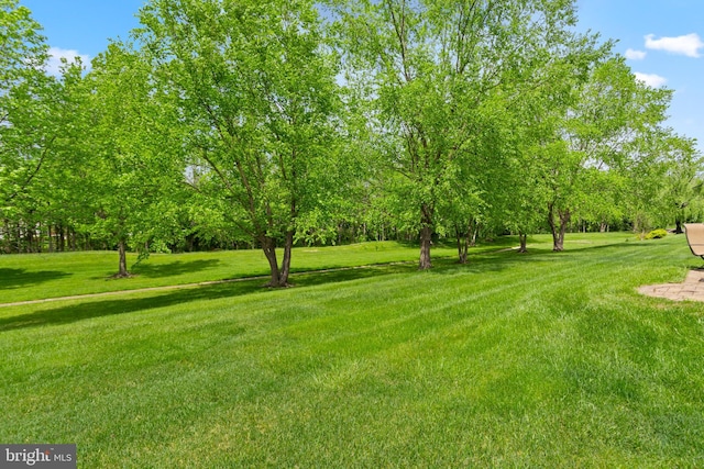 29 Monte Carlo Dr, Hamilton, NJ 08691 - view of green lawn with view of scattered trees