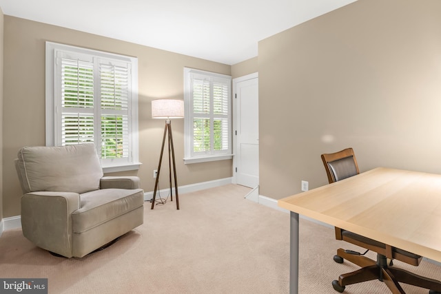 255 Lower Magothy Beach Rd, Severna Park, MD 21146 - office area featuring healthy amount of natural light, baseboards, and light carpet