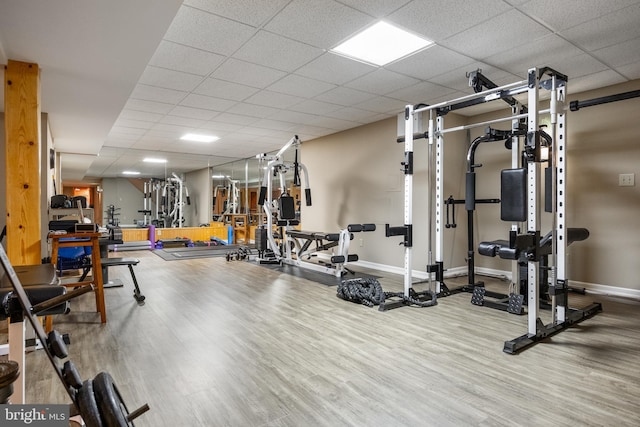 exercise room with wood finished floors, baseboards, and a drop ceiling