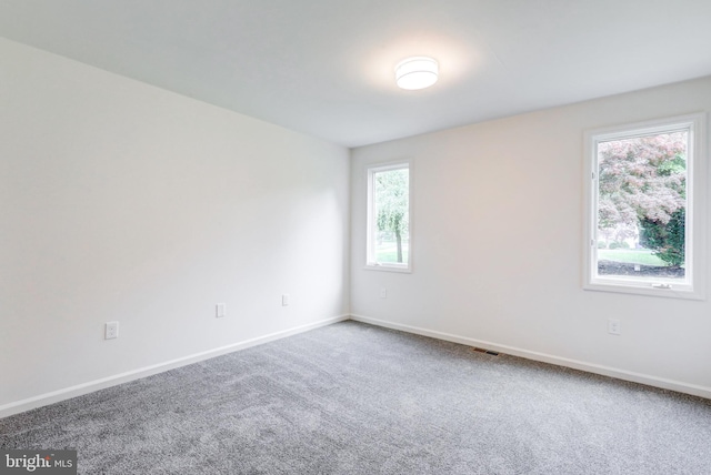 1017 Mill Rd, Leesport, PA 19533 - empty room with baseboards and carpet flooring