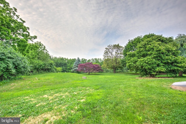 1017 Mill Rd, Leesport, PA 19533 - view of grassy yard