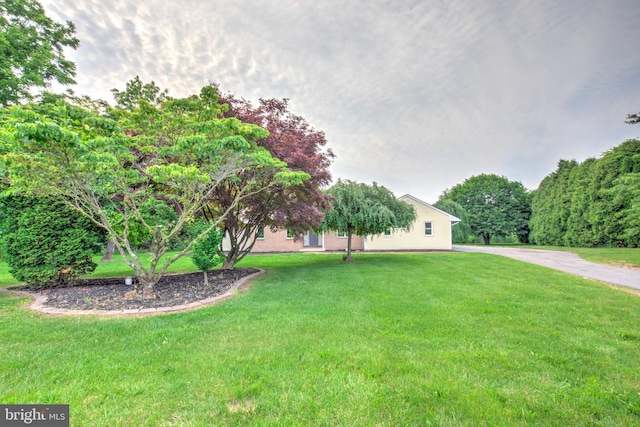 1017 Mill Rd, Leesport, PA 19533 - view of grassy yard