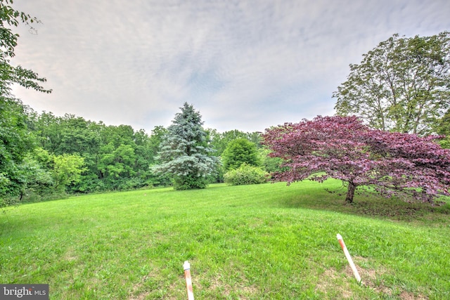 1017 Mill Rd, Leesport, PA 19533 - view of grassy yard