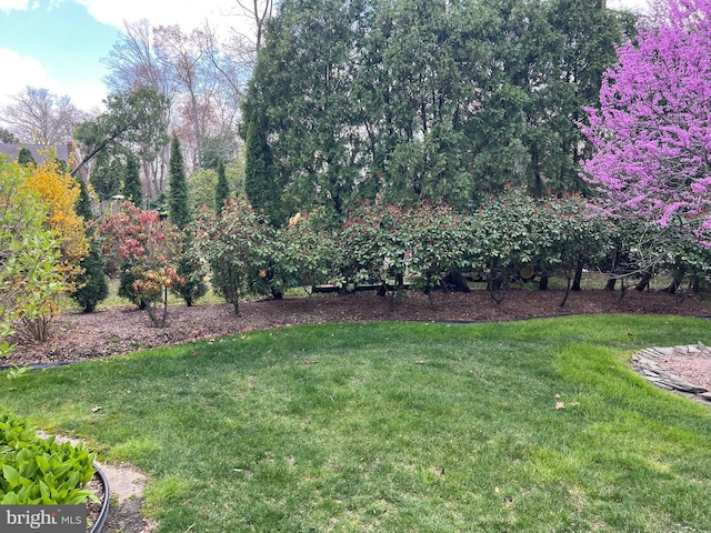 612 Howard Ave, Pitman, NJ 08071 - view of green lawn