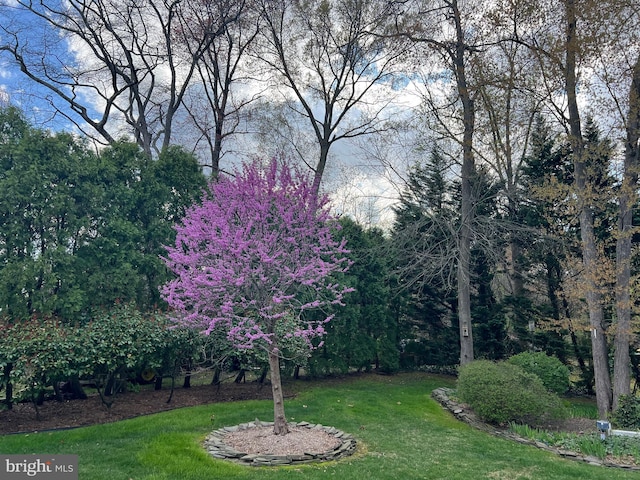 612 Howard Ave, Pitman, NJ 08071 - view of grassy yard