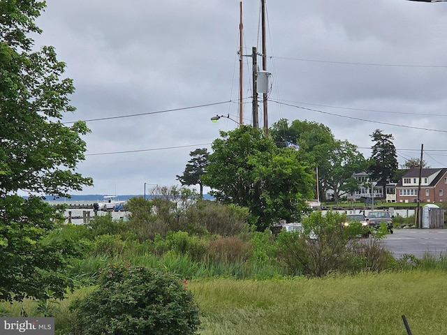 5934 Tilghman Island Rd, Tilghman, MD 21671 - view of yard
