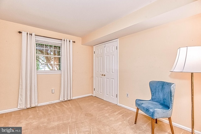 sitting room with baseboards and carpet flooring