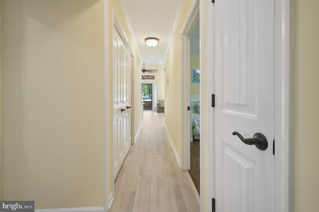 5 Fairway Ln, Ocean Pines, MD 21811 - corridor with ornamental molding, light wood-style flooring, and baseboards