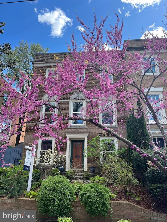 view of front of house with brick siding