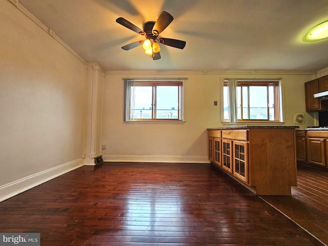 1506 N 13th St, Philadelphia, PA 19122 - kitchen featuring dark wood-style flooring, healthy amount of natural light, a ceiling fan, cooktop, and ornamental molding