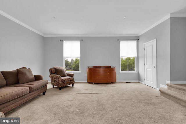 carpeted living area featuring crown molding, baseboards, and stairs