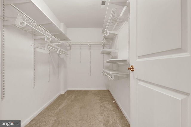 walk in closet with carpet
