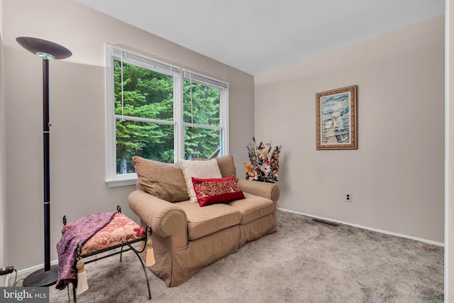 living area featuring baseboards and carpet flooring