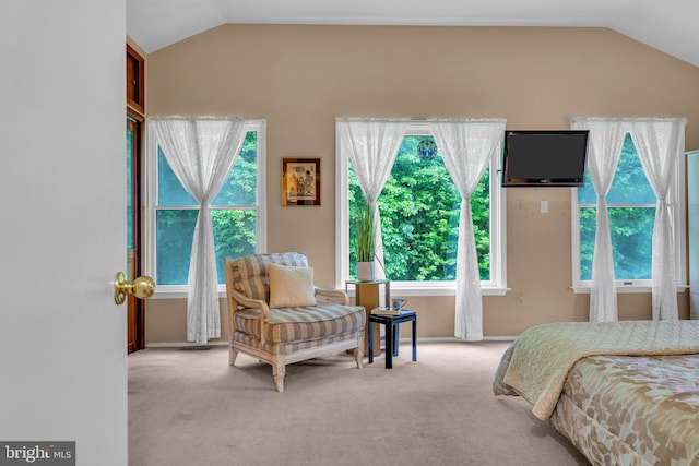 carpeted bedroom with vaulted ceiling and baseboards