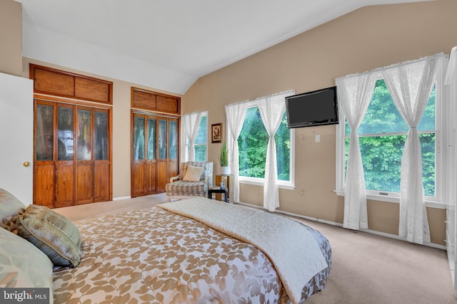 bedroom with vaulted ceiling, carpet, multiple closets, and baseboards